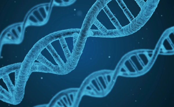 ตรวจ DNA พ่อลูก คืออะไร? รู้จักวิธีตรวจและความแม่นยำของการพิสูจน์ความเป็นบิดา