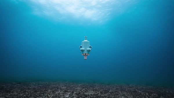 ออสเตรเลียใช้โดรน AI สำรวจใต้ทะเล สู้ปัญหาปะการังฟอกขาว