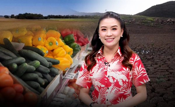 วิกฤตอาหารเมดิเตอร์เรเนียน โลกร้อนทำผลผลิตลดฮวบ