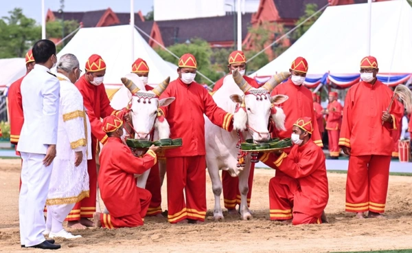เปิดลงทะเบียน รับ "พันธุ์ข้าวพระราชทาน" 