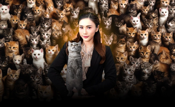ทาส "แมว" โตแรง แซงหน้า ทาสน้องหมา "โอกาสทางธุรกิจ"  l World Wide Wealth