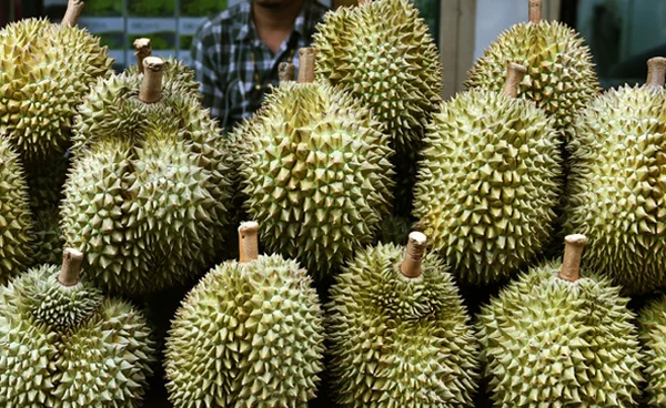ผลไม้ไทย ขึ้นแท่นสินค้าเกษตรส่งออกสูงสุด “ทุเรียน” ครองแชมป์บุกตลาดจีน
