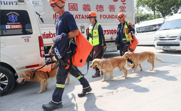 รบ. ยันไม่ได้เปิดรับบริจาคเพื่อ "สุนัขทหาร K-9" ในภารกิจแผ่นดินไหว