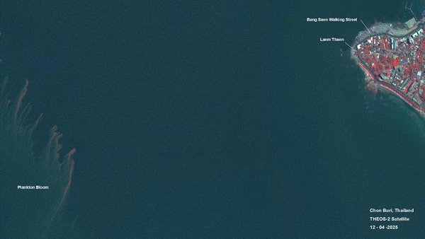 เปิดภาพดาวเทียม "ปรากฏการณ์แพลงก์ตอนบลูม" ทะเลบางแสน
