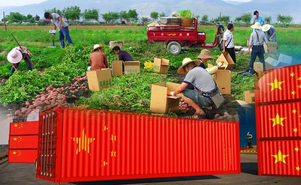 จีนงัดสินค้าเกษตรเป็นอาวุธโต้สงครามภาษี