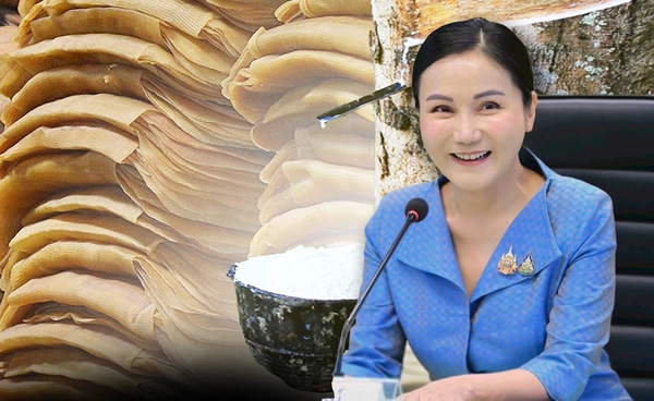 “นฤมล” งัด พรบ.คุมยาง ต่อสู้กับยางเถื่อน