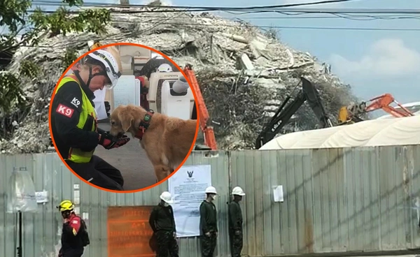 K9 เข้าค้นโซน A-D ซากอาคาร สตง. พบโพรงใหญ่คาดมีผู้สูญหาย