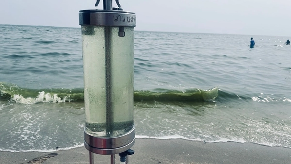 น้ำทะเลสีเขียวที่ชายหาดบางแสน ดร.สนธิชี้ ไม่อันตรายแต่ต้องระวัง