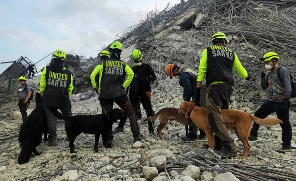 แผ่นดินไหวกรุงเทพฯ พบผู้เสียชีวิตเพิ่ม สุนัข K-9 ค้นหาผู้สูญหายใต้ซากโซน B