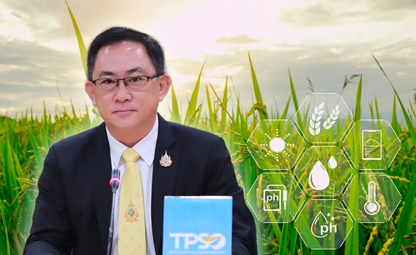 จับตา "ข้าวอินทรีย์ไทย" รับเทรนด์โลก