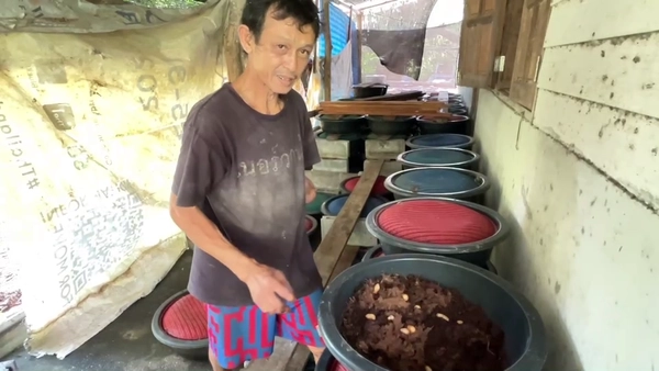 ชายพิการเลี้ยงด้วงสาคู ส่งลูกเรียนจบ ป.ตรี I เรื่องดีดีทั่วไทย 20-03-25
