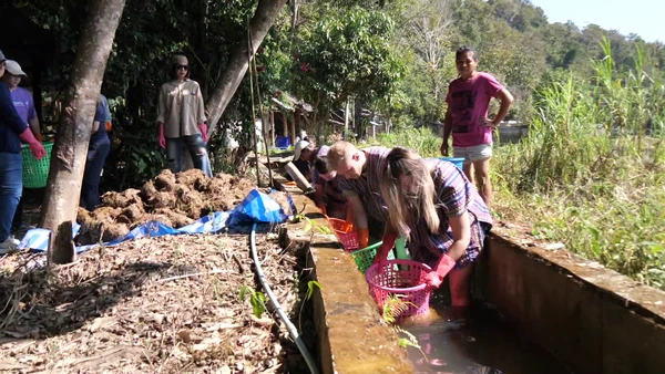นทท.ต่างชาติแห่จอง เที่ยวทริปล้างมูลช้าง I เรื่องดีดีทั่วไทย