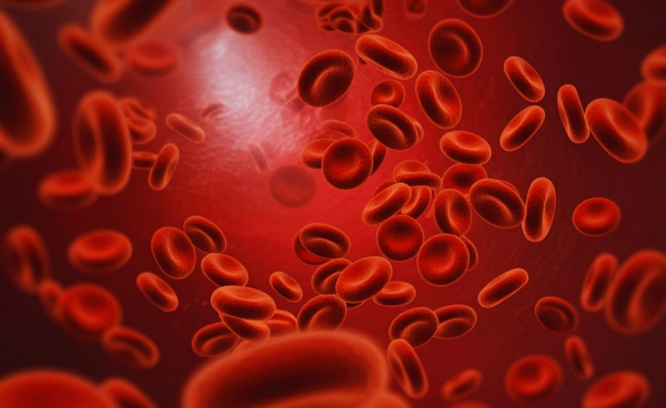 ทีมวิจัยศิริราชพบ กรุ๊ปเลือดลูกผสม ที่หายากมากที่สุดกรุ๊ปหนึ่ง