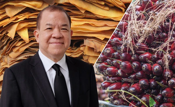 "พิชัย"สั่งเข้มคุมรับซื้อปาล์มน้ำมัน-ยางพารา