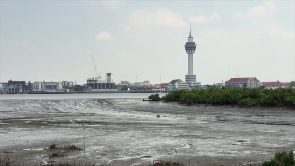 โซเชียลแห่แชร์ “แม่น้ำเจ้าพระยาแห้ง” ไม่เกี่ยวกับแผ่นดินไหว แค่น้ำขึ้น-น้ำลงตามปกติ