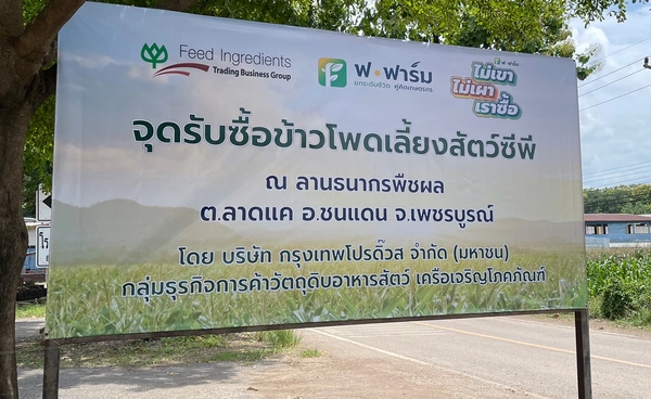 "เกษตรกรไทยต้องมาก่อน" ยึดนโยบายรับซื้อข้าวโพดในประเทศเป็นลำดับแรก หนุนความมั่นคงทางอาหาร