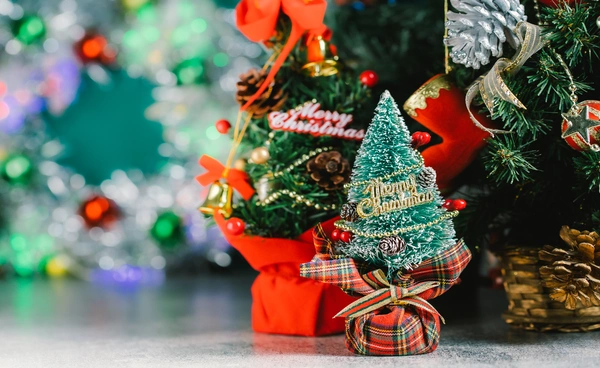 "ต้นคริสต์มาสซินโดรม" (Christmas Tree syndrome) ภาวะแพ้ต้นคริสต์มาส คนเป็นภูมิแพ้ หอบหืด ต้องระวัง!