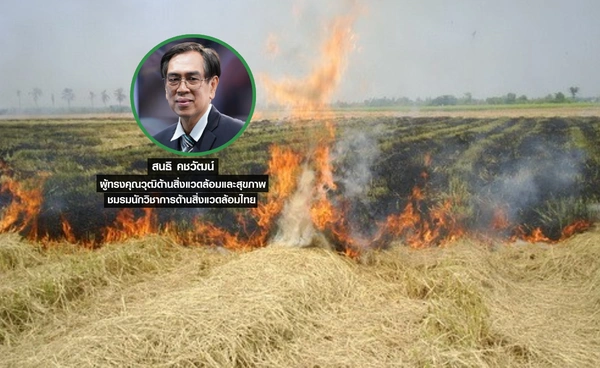 ทำไมชาวนายังคงเผาตอซังและฟางข้าว ก่อให้เกิดปัญหาฝุ่น PM2.5 ที่แก้ไม่ตก