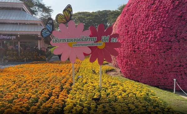 "เชียงรายดอกไม้งาม" ทำเงินสะพัด 800 ล้าน