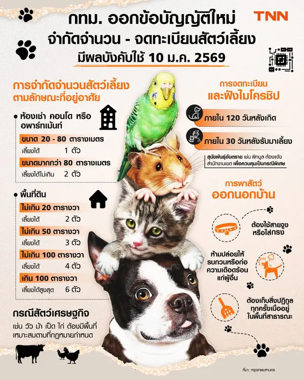 กทม. ออกข้อบัญญัติใหม่ จำกัดจำนวน-จดทะเบียนสัตว์เลี้ยง มีผลบังคับใช้ 10 มกราคม 2569