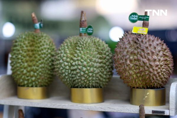 รูป-สยามพารากอน สนับสนุนเกษตรกรไทยจาก 78 แหล่งทั่วประเทศ อิ่มไม่อั้นกับบุฟเฟต์ทุเรียน 11 วัน 77 รอบ-7