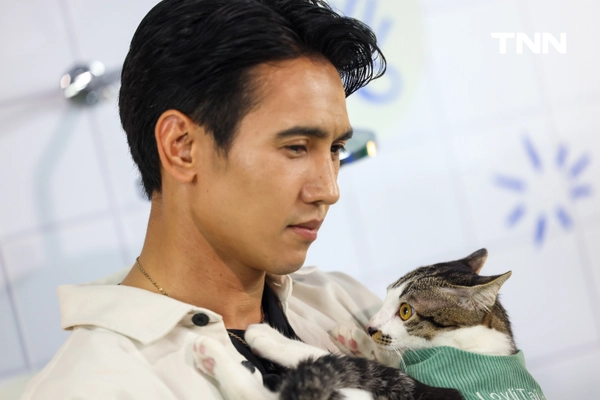 รูป-อวดความน่ารัก “น้องมันเดย์” อดีตแมวจรสู่แมวสุดรัก “ก๊อต” จิรายุ -4