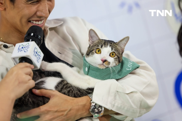 รูป-อวดความน่ารัก “น้องมันเดย์” อดีตแมวจรสู่แมวสุดรัก “ก๊อต” จิรายุ -9