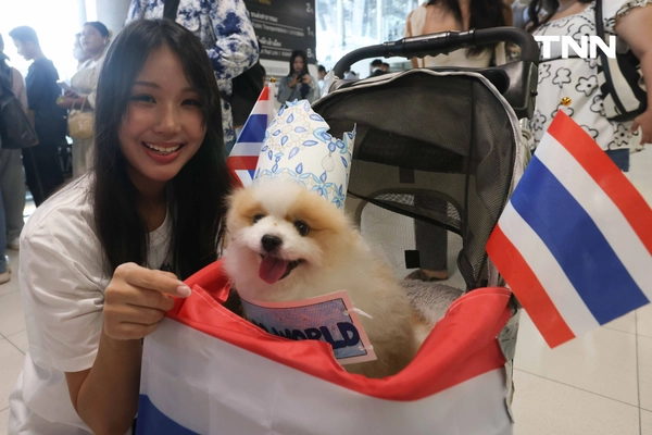 รูป-ประมวลภาพประวัติศาสตร์ขบวนแห่แห่งเกียรติยศ “โอปอล-สุชาตา” คนไทยรอรับแน่นถนนสุขุมวิท-20