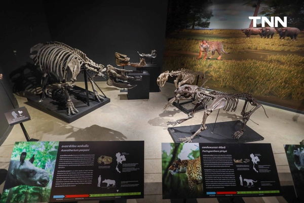 รูป-‘Thainosaur’ เมื่อไดโนเสาร์ไทยกลับมามีชีวิตอีกครั้ง สมจริงทุกรายละเอียด อวดสีสันแท้ที่โลกไม่เคยรู้ -7