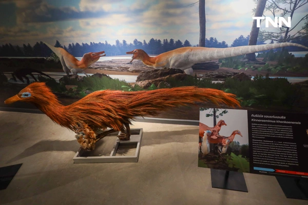 รูป-‘Thainosaur’ เมื่อไดโนเสาร์ไทยกลับมามีชีวิตอีกครั้ง สมจริงทุกรายละเอียด อวดสีสันแท้ที่โลกไม่เคยรู้ -6
