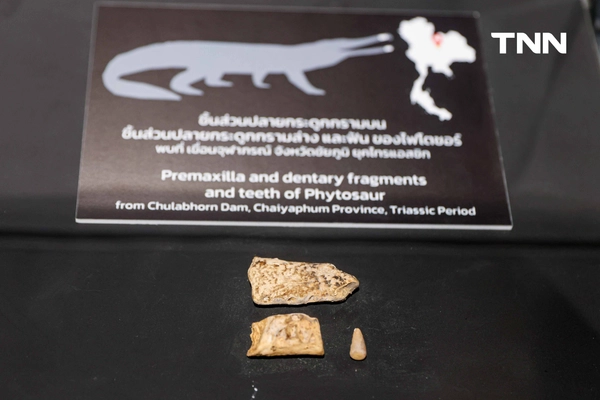 รูป-‘Thainosaur’ เมื่อไดโนเสาร์ไทยกลับมามีชีวิตอีกครั้ง สมจริงทุกรายละเอียด อวดสีสันแท้ที่โลกไม่เคยรู้ -13