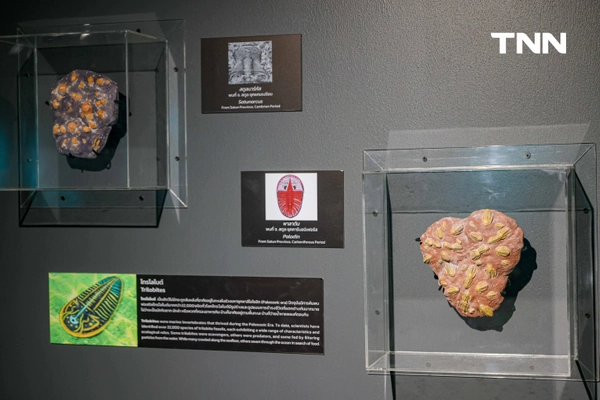 รูป-‘Thainosaur’ เมื่อไดโนเสาร์ไทยกลับมามีชีวิตอีกครั้ง สมจริงทุกรายละเอียด อวดสีสันแท้ที่โลกไม่เคยรู้ -12