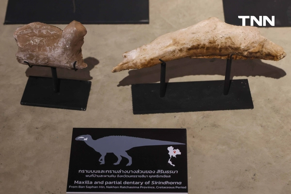 รูป-‘Thainosaur’ เมื่อไดโนเสาร์ไทยกลับมามีชีวิตอีกครั้ง สมจริงทุกรายละเอียด อวดสีสันแท้ที่โลกไม่เคยรู้ -25