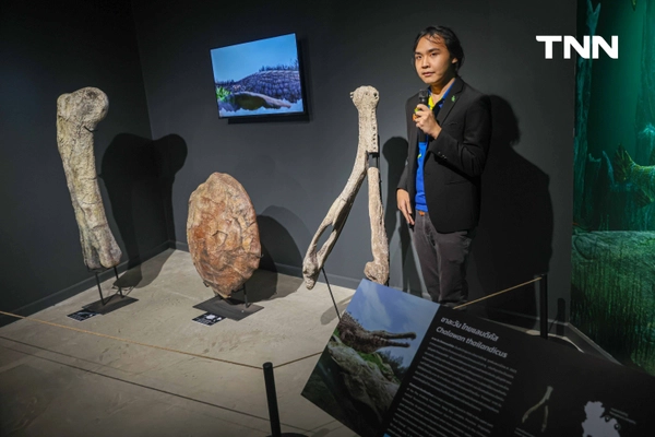 รูป-‘Thainosaur’ เมื่อไดโนเสาร์ไทยกลับมามีชีวิตอีกครั้ง สมจริงทุกรายละเอียด อวดสีสันแท้ที่โลกไม่เคยรู้ -20