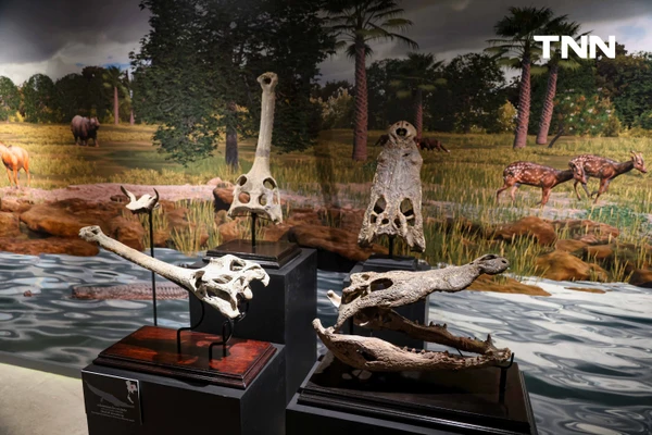รูป-‘Thainosaur’ เมื่อไดโนเสาร์ไทยกลับมามีชีวิตอีกครั้ง สมจริงทุกรายละเอียด อวดสีสันแท้ที่โลกไม่เคยรู้ -24