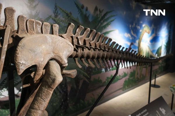 รูป-‘Thainosaur’ เมื่อไดโนเสาร์ไทยกลับมามีชีวิตอีกครั้ง สมจริงทุกรายละเอียด อวดสีสันแท้ที่โลกไม่เคยรู้ -16