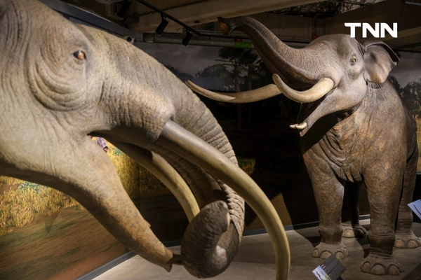 รูป-‘Thainosaur’ เมื่อไดโนเสาร์ไทยกลับมามีชีวิตอีกครั้ง สมจริงทุกรายละเอียด อวดสีสันแท้ที่โลกไม่เคยรู้ -27