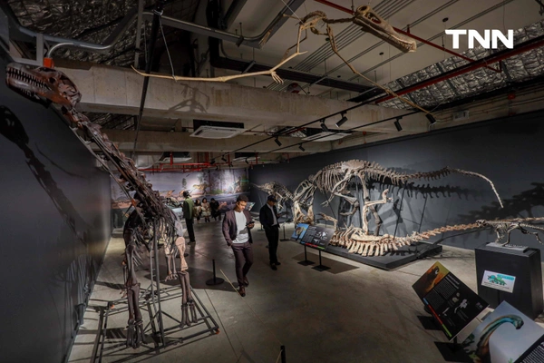 รูป-‘Thainosaur’ เมื่อไดโนเสาร์ไทยกลับมามีชีวิตอีกครั้ง สมจริงทุกรายละเอียด อวดสีสันแท้ที่โลกไม่เคยรู้ -10