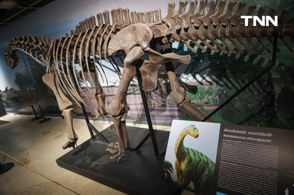 รูป-‘Thainosaur’ เมื่อไดโนเสาร์ไทยกลับมามีชีวิตอีกครั้ง สมจริงทุกรายละเอียด อวดสีสันแท้ที่โลกไม่เคยรู้ -17