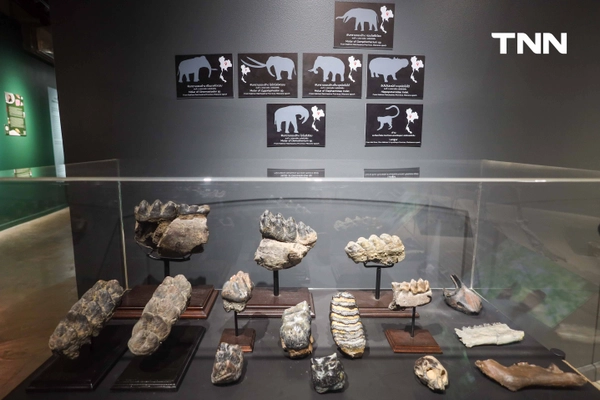 รูป-‘Thainosaur’ เมื่อไดโนเสาร์ไทยกลับมามีชีวิตอีกครั้ง สมจริงทุกรายละเอียด อวดสีสันแท้ที่โลกไม่เคยรู้ -8