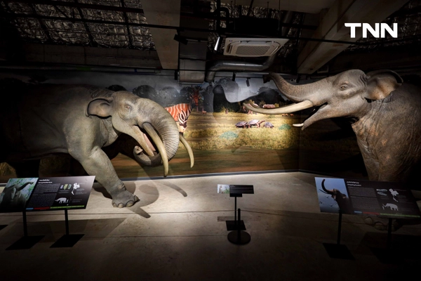 รูป-‘Thainosaur’ เมื่อไดโนเสาร์ไทยกลับมามีชีวิตอีกครั้ง สมจริงทุกรายละเอียด อวดสีสันแท้ที่โลกไม่เคยรู้ -9