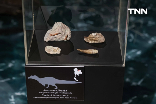 รูป-‘Thainosaur’ เมื่อไดโนเสาร์ไทยกลับมามีชีวิตอีกครั้ง สมจริงทุกรายละเอียด อวดสีสันแท้ที่โลกไม่เคยรู้ -19