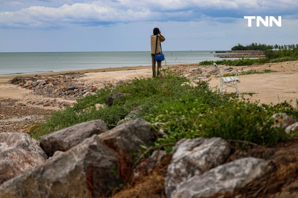 รูป-ดอยคำผนึกกำลังฟื้นฟูชายหาดพระราชนิเวศน์มฤคทายวัน ปลูกต้นไม้สันดอนทรายชายฝั่งคืนสมดุลสู่ธรรมชาติ-20