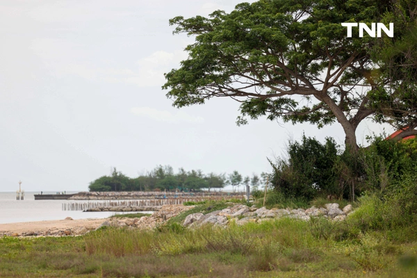 รูป-ดอยคำผนึกกำลังฟื้นฟูชายหาดพระราชนิเวศน์มฤคทายวัน ปลูกต้นไม้สันดอนทรายชายฝั่งคืนสมดุลสู่ธรรมชาติ-14