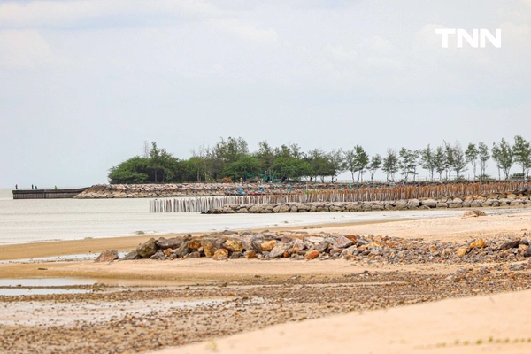 รูป-ดอยคำผนึกกำลังฟื้นฟูชายหาดพระราชนิเวศน์มฤคทายวัน ปลูกต้นไม้สันดอนทรายชายฝั่งคืนสมดุลสู่ธรรมชาติ-19