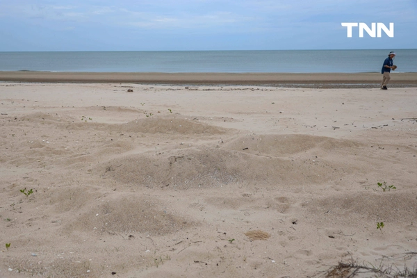 รูป-ดอยคำผนึกกำลังฟื้นฟูชายหาดพระราชนิเวศน์มฤคทายวัน ปลูกต้นไม้สันดอนทรายชายฝั่งคืนสมดุลสู่ธรรมชาติ-9