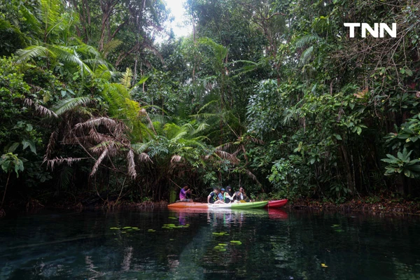 รูป-ตามรอย “Jurassic World” พายคายัคชมธรรมชาติที่ “คลองหรูด” จ.กระบี่-22