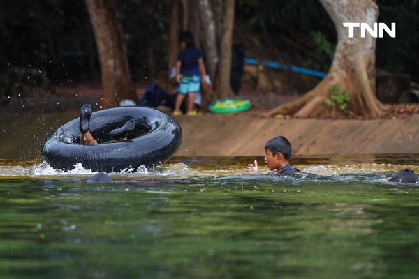 รูป-ตามรอย “Jurassic World” พายคายัคชมธรรมชาติที่ “คลองหรูด” จ.กระบี่-5