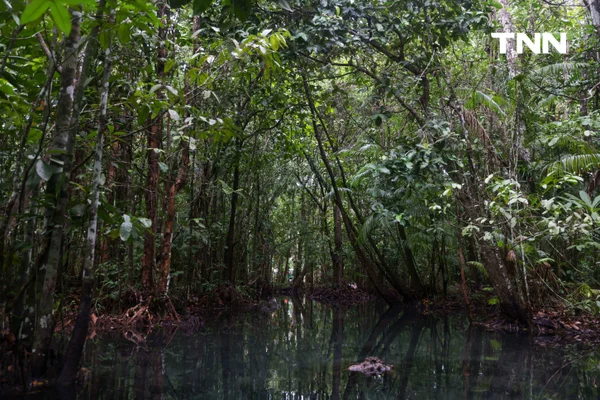 รูป-ตามรอย “Jurassic World” พายคายัคชมธรรมชาติที่ “คลองหรูด” จ.กระบี่-16