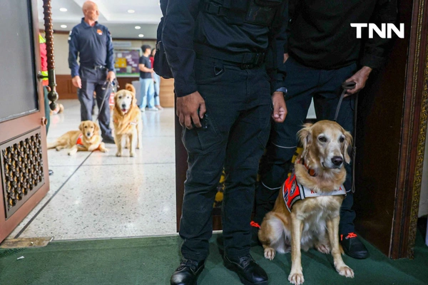 รูป-น้องหมา K9 พร้อมหน่วยงานต่างๆ ร่วมรับ เครื่องหมายเชิดชูเกียรติ “นคราภิรักษ์” กรณีเหตุการณ์แผ่นดินไหว -13